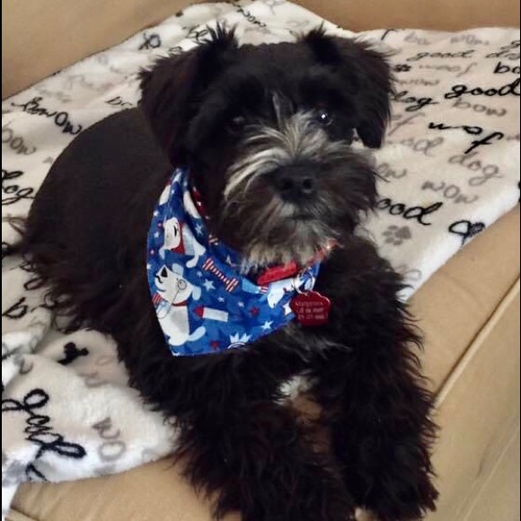 Meet your Posher, Melissa - Picture 1 of 1